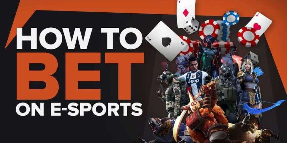 Top-Rated Sports Gambling Site Unveiled